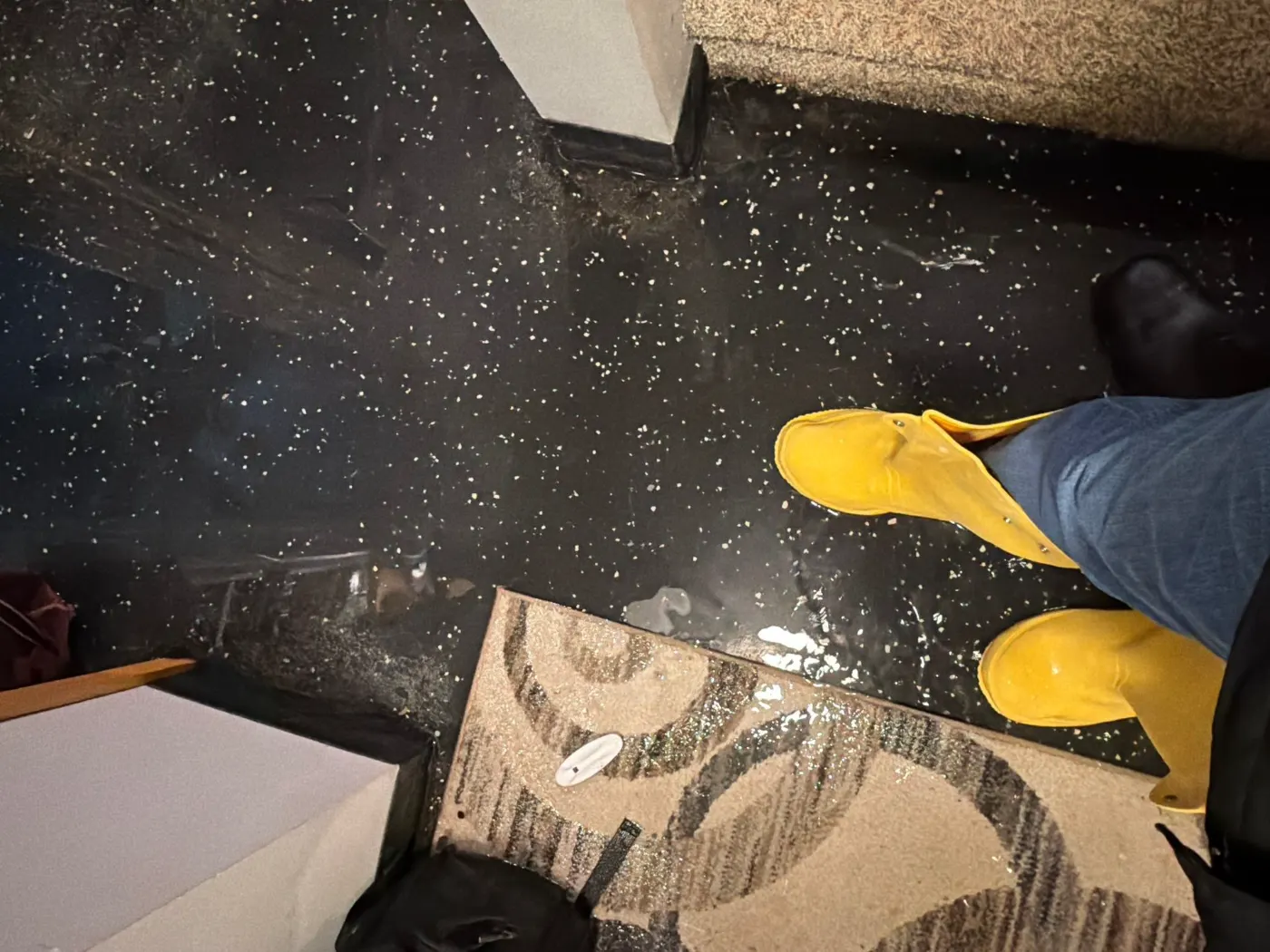 Flooded basement cleanup in Centerville, Hamilton County