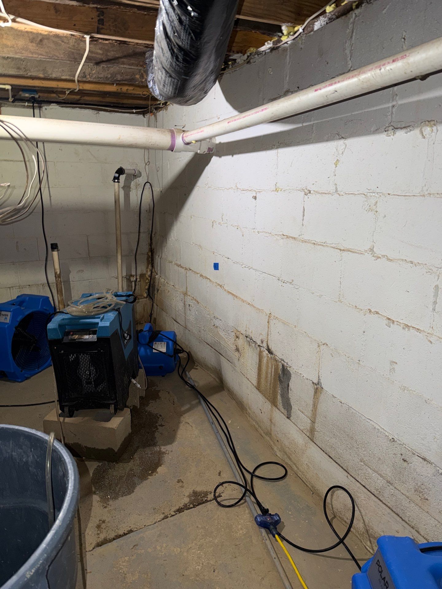 drying out basement